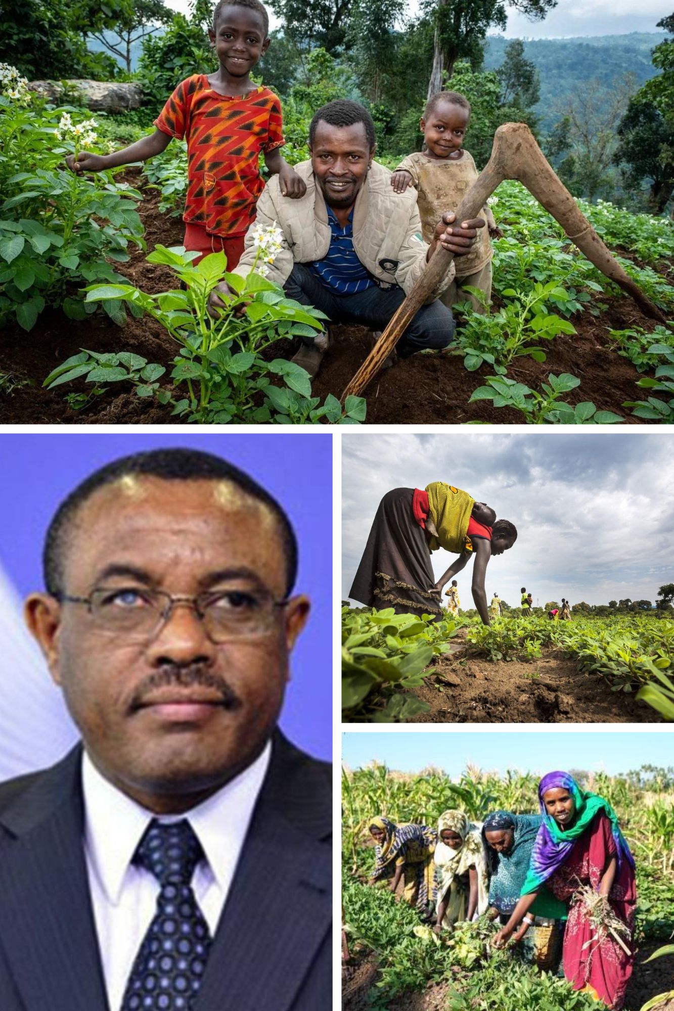 From Leading a Nation to Feeding the Future: Hailemariam Desalegn Takes on CGIAR